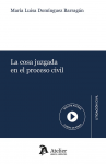La cosa juzgada en el proceso civil vignette