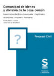 Comunidad de bienes y división de la cosa común. Aspectos sustantivos, procesales y registrales. vignette