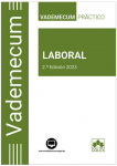 Vademecum práctico laboral vignette