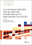 Los proceso judiciales tras las reformas introducidas por el Real Decreto-Ley 6/2023 vignette