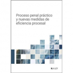 Proceso penal práctico y nuevas medidas de eficacia procesal vignette